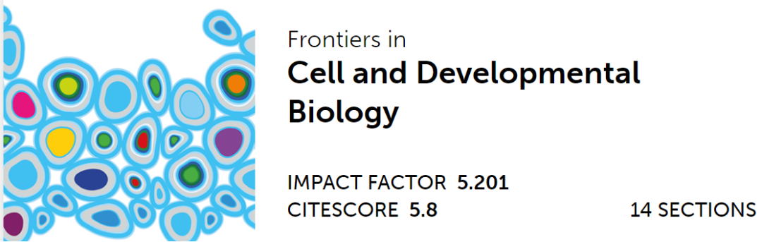 心臟病醫(yī)院王海昌院長(zhǎng)科研團(tuán)隊(duì)在心肌病研究領(lǐng)域有新突破！
