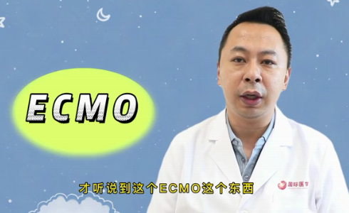 什么是ECMO？