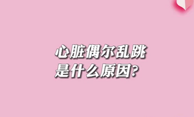 【名醫(yī)面對(duì)面之心臟100問(wèn)】心臟偶爾亂跳是什么原因？
