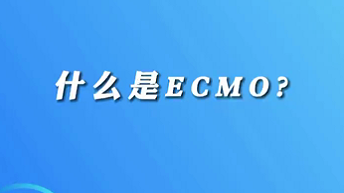 【名醫(yī)面對面之心臟100問】什么是ECMO？
