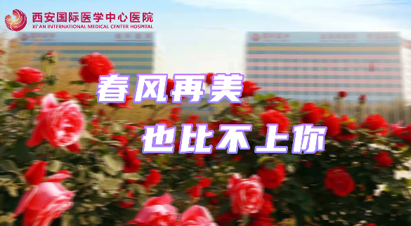 春風(fēng)再美，也比不上你……