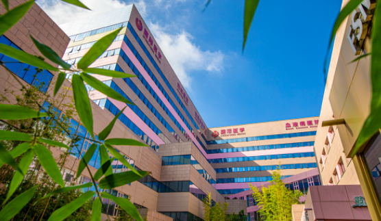 國(guó)醫(yī)四味：竹林、紫杉、桂花、銀杏，還有那……